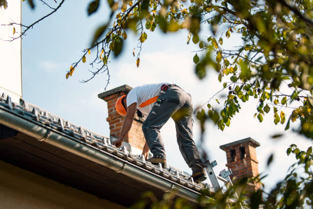 Best Metal Roofing Contractor  in Dalton, GA